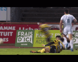 Stade Montois Rugby GIF
