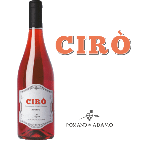 Food Wine Sticker by romanoeadamo