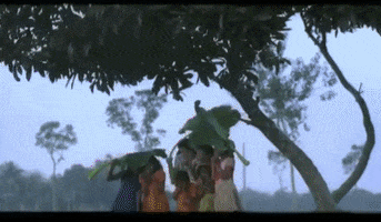 Beautiful Bangladesh GIF