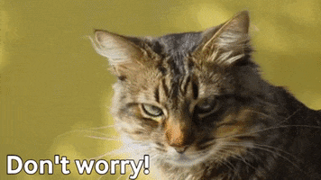 Its Going To Be Ok No Worries GIF by Squirrel Monkey