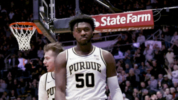 Purdue Basketball GIF by Purdue Sports