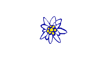 Juniors Flor de Neu Sticker