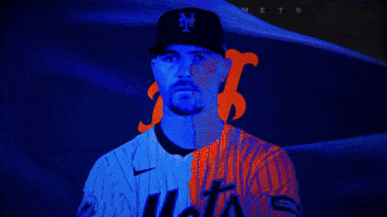 Polar Bear Baseball GIF by New York Mets