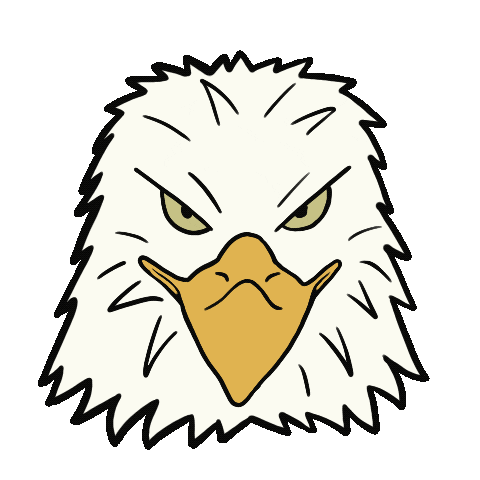 Car Sticker
