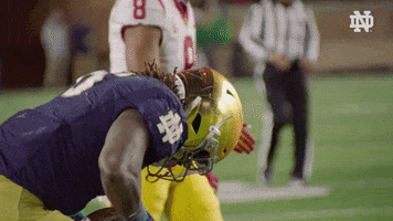 Clapping Hitting GIF by Notre Dame Fighting Irish