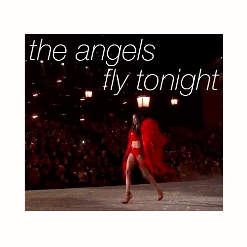 Angel Wings Gifs Find Share On Giphy vrogue.co