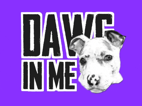 dawg pound sideline hoodie