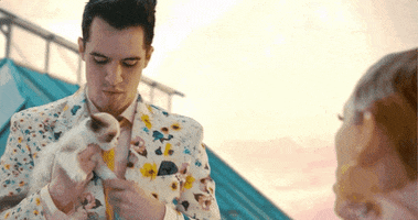 brendon urie cat GIF by Taylor Swift