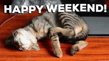 Video gif. Gray and black striped cat lays on a desk. His head twists as he stretches sleepily, lazy paws attempting to scratch an itch. Text, "Happy Weekend!"