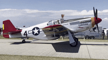 P-51 Airplane GIF