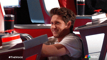 Niall Horan Hide GIF by The Voice