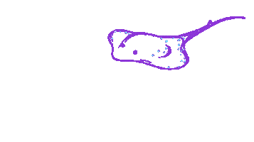 Manta Ray Neon Sticker by sgnightfest