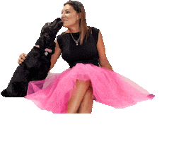 Fusini Shoes Sticker