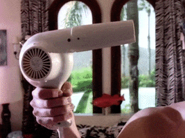 Blow Dry Hair GIF by Beastie Boys