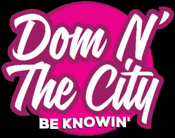 Dom N' The City GIF