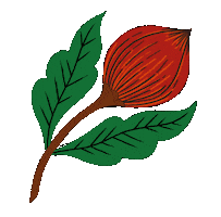 Flower Rose Sticker by Aurage