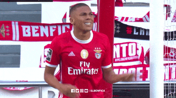 Frustrated Come On GIF by Sport Lisboa e Benfica