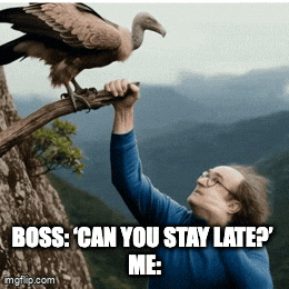 Funny GIF by Fiverr