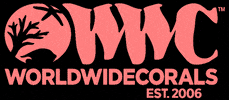 World Wide Corals GIF