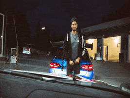 Mareike Fox GIF