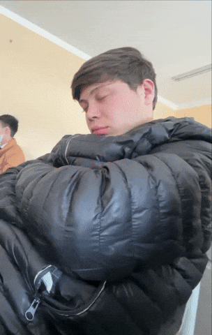Sleep Sleeping GIF