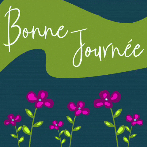 Good Day Bonjour GIF