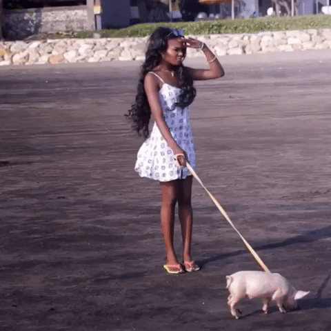 giphy.gif?cid=4d1e4f2991926eef787a24bbf0