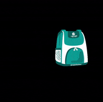 Viajes Lina Tour GIF