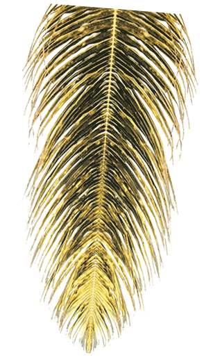 Aguaclara Official Sticker