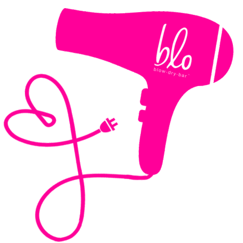 Hair Brush Sticker by Blo Blow Dry Bar for iOS & Android | GIPHY
