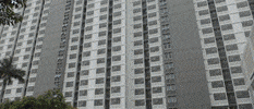 Iptv GIF