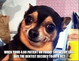 Friday GIF