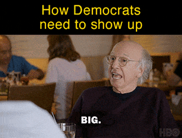 Vote Now Curb Your Enthusiasm GIF by Creative Courage