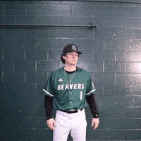 Batter Up Baseball GIF by Bemidji State Beavers