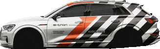 Customaudi Sticker by We Are Social Deutschland