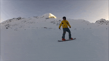 Boarderschwaben e.V. GIF