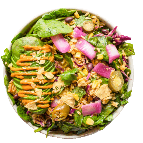 Sticker by Avocaderia