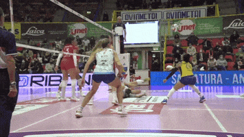 Republica Dominicana Yes GIF by Volleyball World
