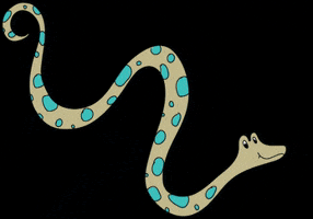 Moozlehome colorful snake cute animal snakes GIF