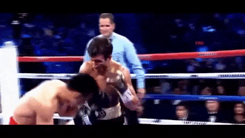 Boxing GIF
