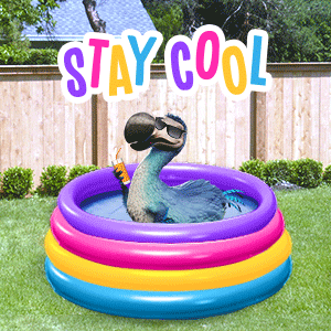 Summer Time Swimming GIF by Dodo Australia