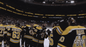 2019 stanley cup finals win GIF by NHL