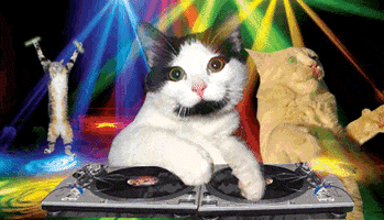 Video gif. A cat is edited to look like a DJ scratching vinyl on turntables as other cats dance under party lights behind it.
