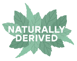 Q+A Skincare Sticker