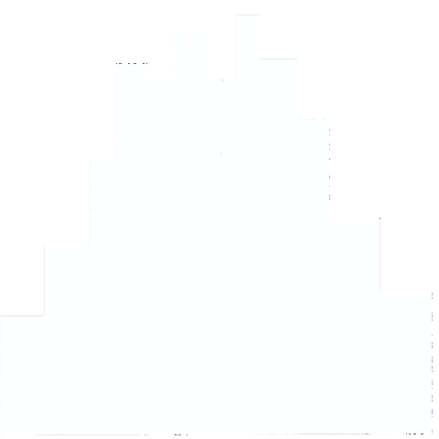 Queens University Ncaa Sticker by Queens University of Charlotte Athletics