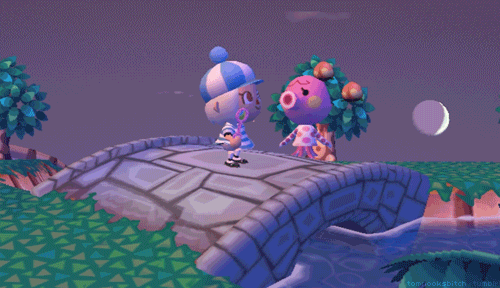 どうぶつの森 住人と交流gif