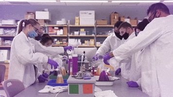College Lab GIF by James Madison University