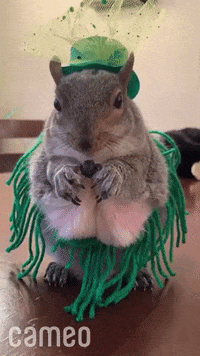 Funny-pet-videos GIFs - Get the best GIF on GIPHY Funny-pet-videos GIFs - Get the best GIF on GIPHY