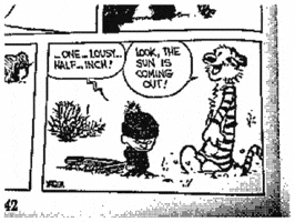 Calvin And Hobbes Ian GIF