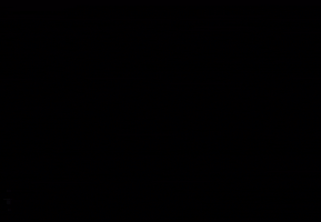 Institut Ritter GIF